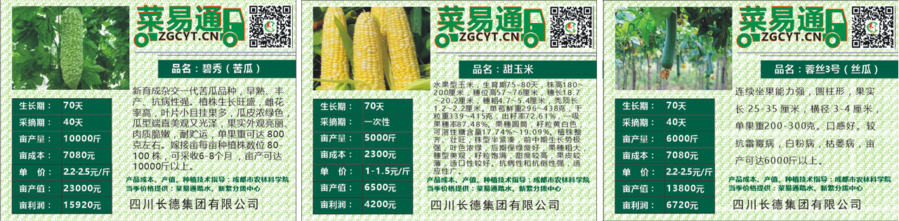 長(zhǎng)德投資集團(tuán)
